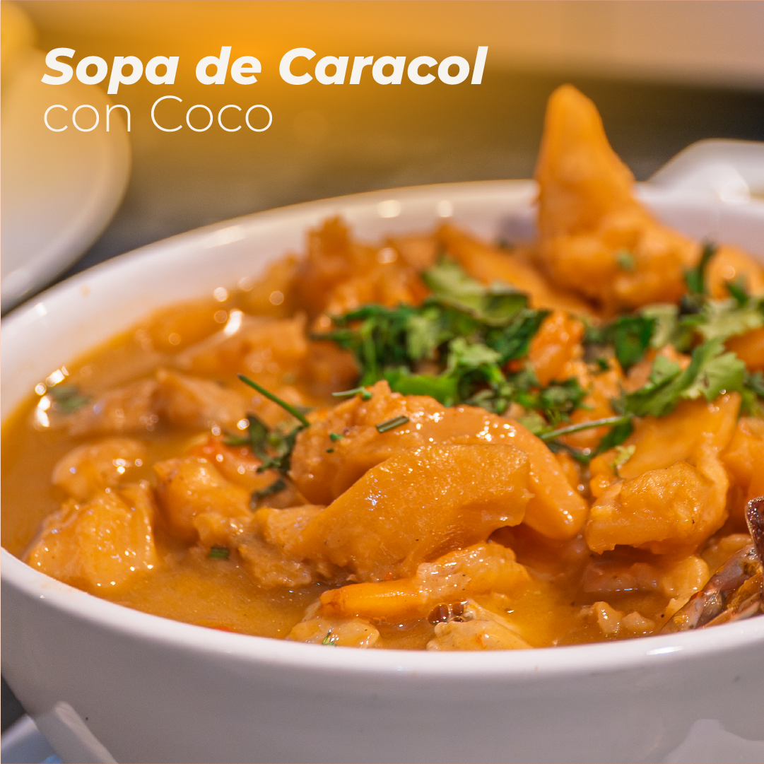 Sopa de Caracol