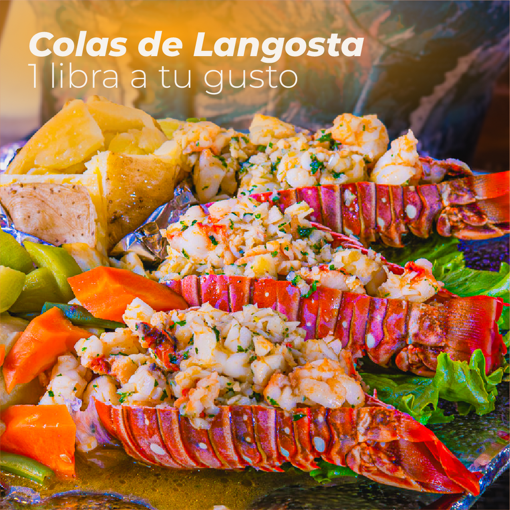 Langosta