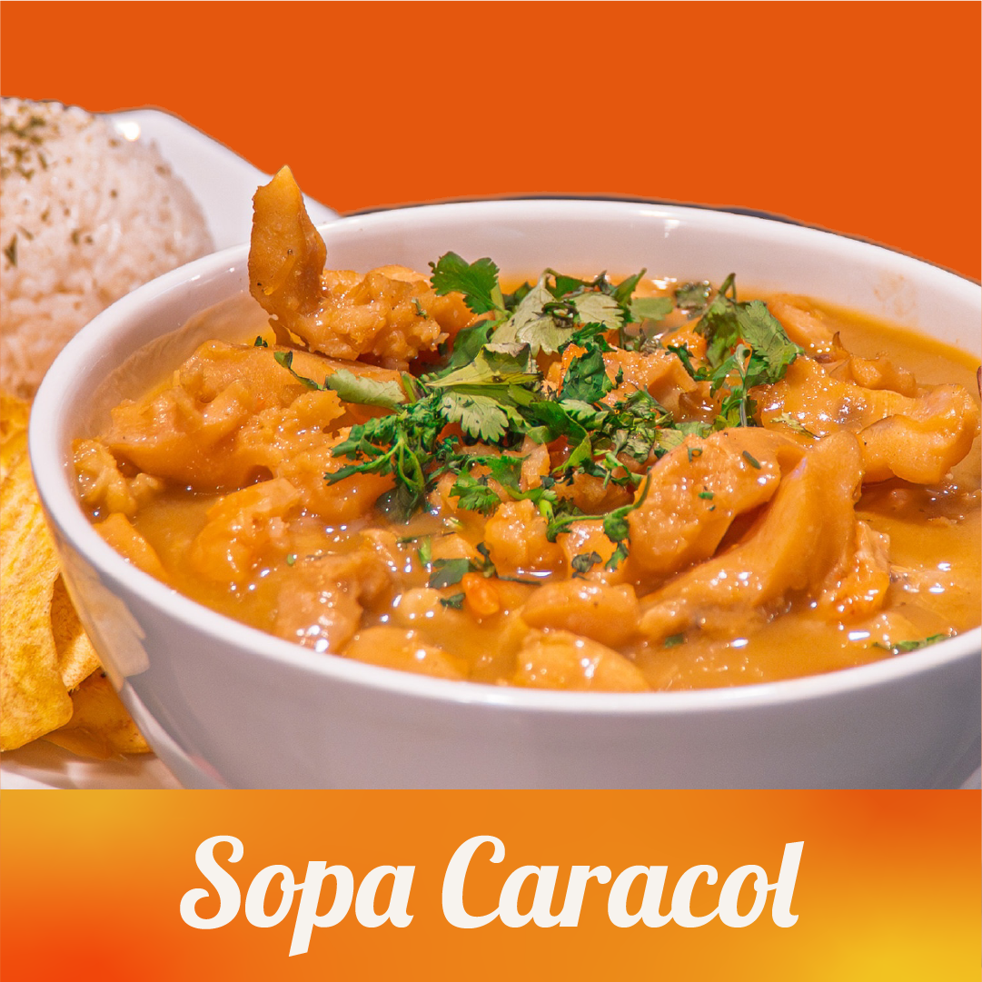 Sopa de Caracol