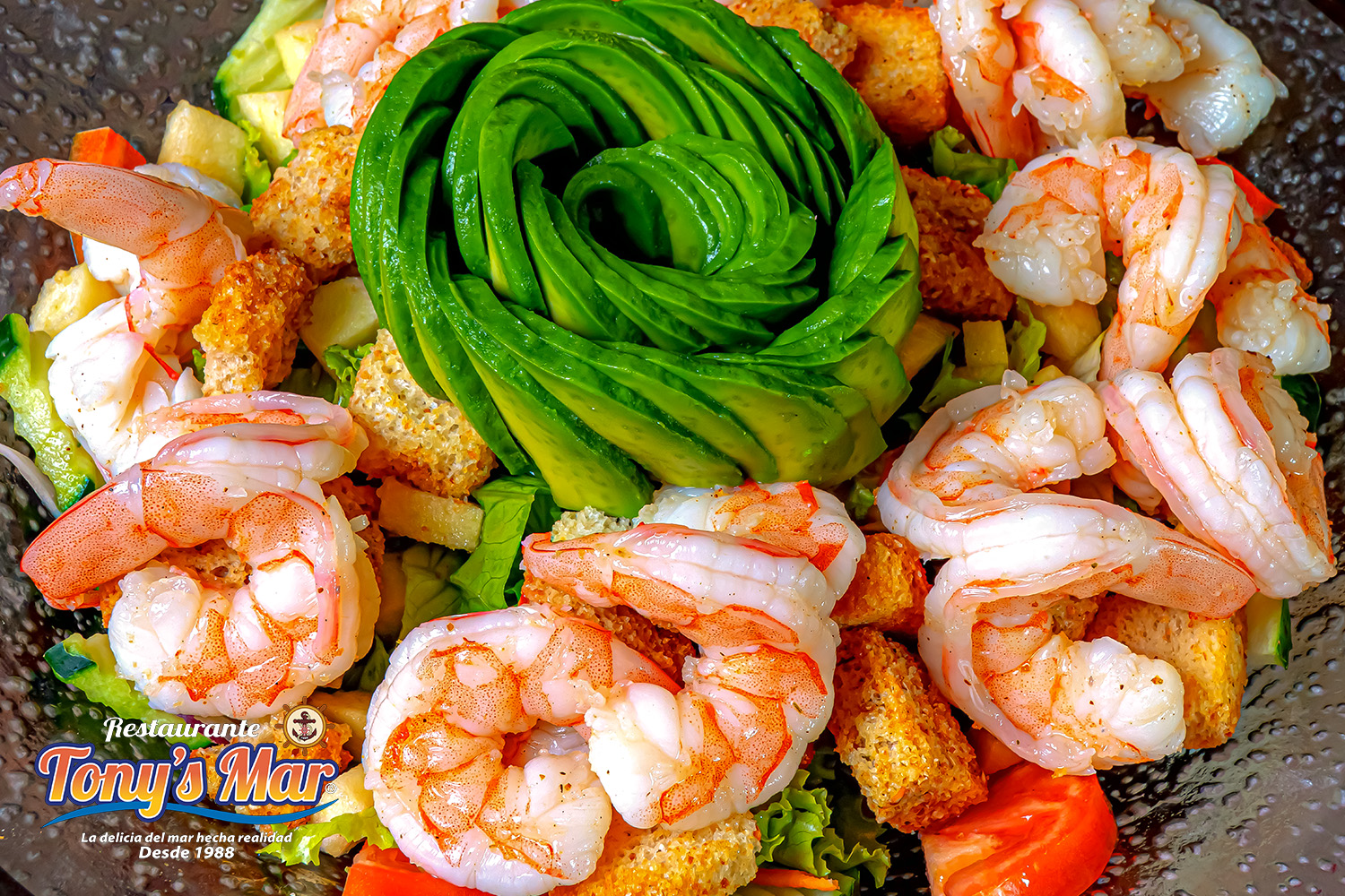 Mariscos premium, experiencia inolvidable Mariscos premium, experiencia inolvidable